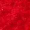 Red Red