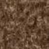 Mocha Brown Mocha Brown