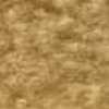 Beige Beige