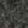 Dark Gray Dark Gray