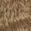 Mocha Brown Mocha Brown