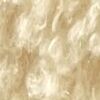 Light Beige Light Beige