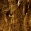 Brown Brown