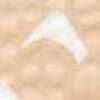 Beige Beige