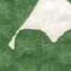 Green Green