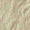 Light Beige Light Beige