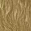 Beige Beige