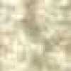 Light Beige Light Beige