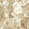 Light Beige Light Beige