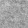 Light Gray Light Gray