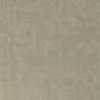 Beige Beige