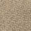 Warm Beige
