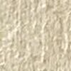 Light Beige Light Beige