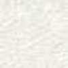White White
