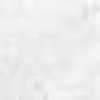 White White