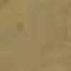 Beige Beige