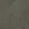 Gray Gray