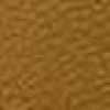Beige Beige
