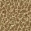 Dark Beige