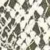 White/Black White/Black