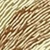 Light Gold/Brown Light Gold/Brown