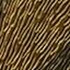 Gold/Black Gold/Black