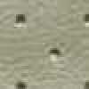 Light Gray Light Gray