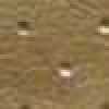 Light Beige Light Beige
