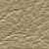 Beige Beige