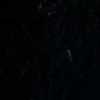 Black Black