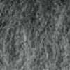 Gray Gray