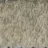 Beige Beige