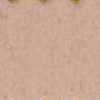 Pink Beige Pink Beige