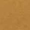 Mustard Mustard
