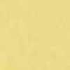 Canary Canary