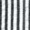 Black Stripe