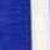 Royal Blue×White Royal Blue×White