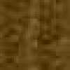 Light Brown Light Brown