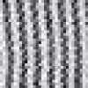 Black Stripe