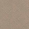 Desert Brown