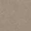 Desert Brown