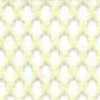 Beige Beige