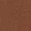 Light Brown Light Brown