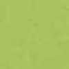 Wasabi Wasabi