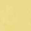 Canary Canary