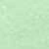 Mint Green Mint Green