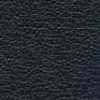 Navy Blue Navy Blue