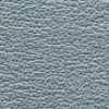 Silver Gray Silver Gray
