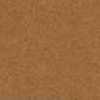 Light Brown Light Brown