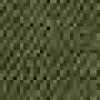 Sage Green Sage Green